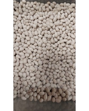 Karaçam (Ogene) Fasülyesi