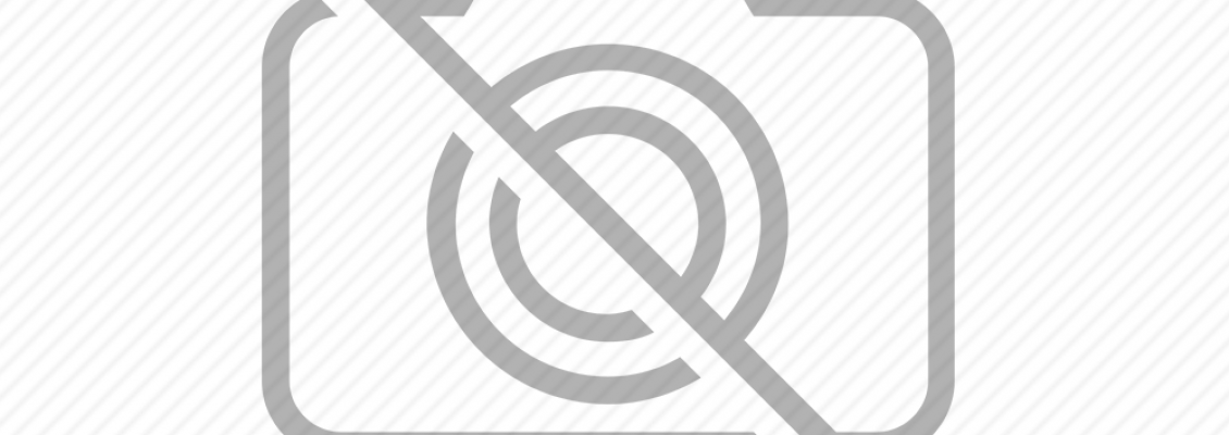 Neden Arıları Korumalıyız? Arıların Önemi